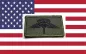 Preview: springerabzeichen us army freefall basic
